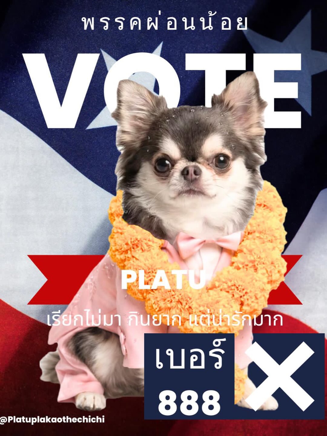 ติ๊นา - ศุภนาฎ จิตตลีลา