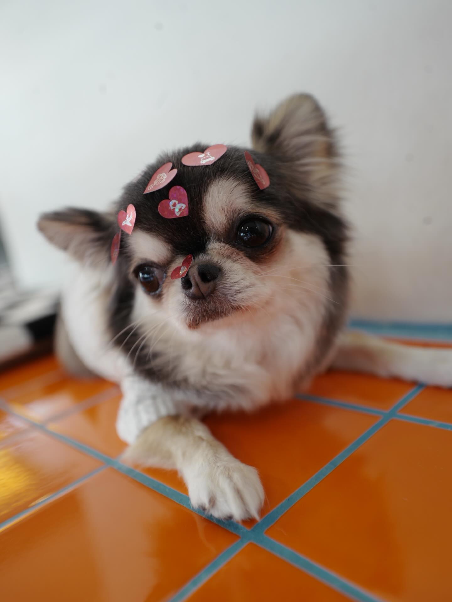 ติ๊นา - ศุภนาฎ จิตตลีลา