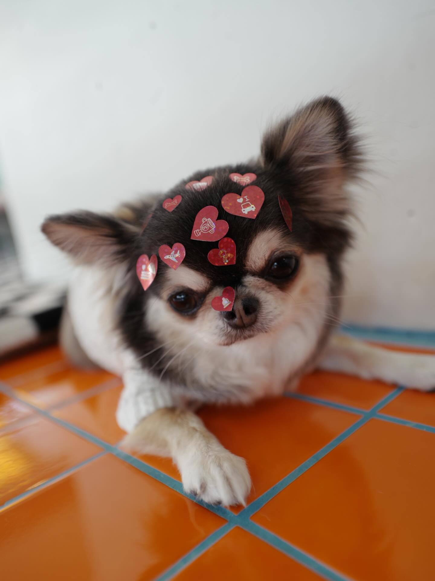 ติ๊นา - ศุภนาฎ จิตตลีลา