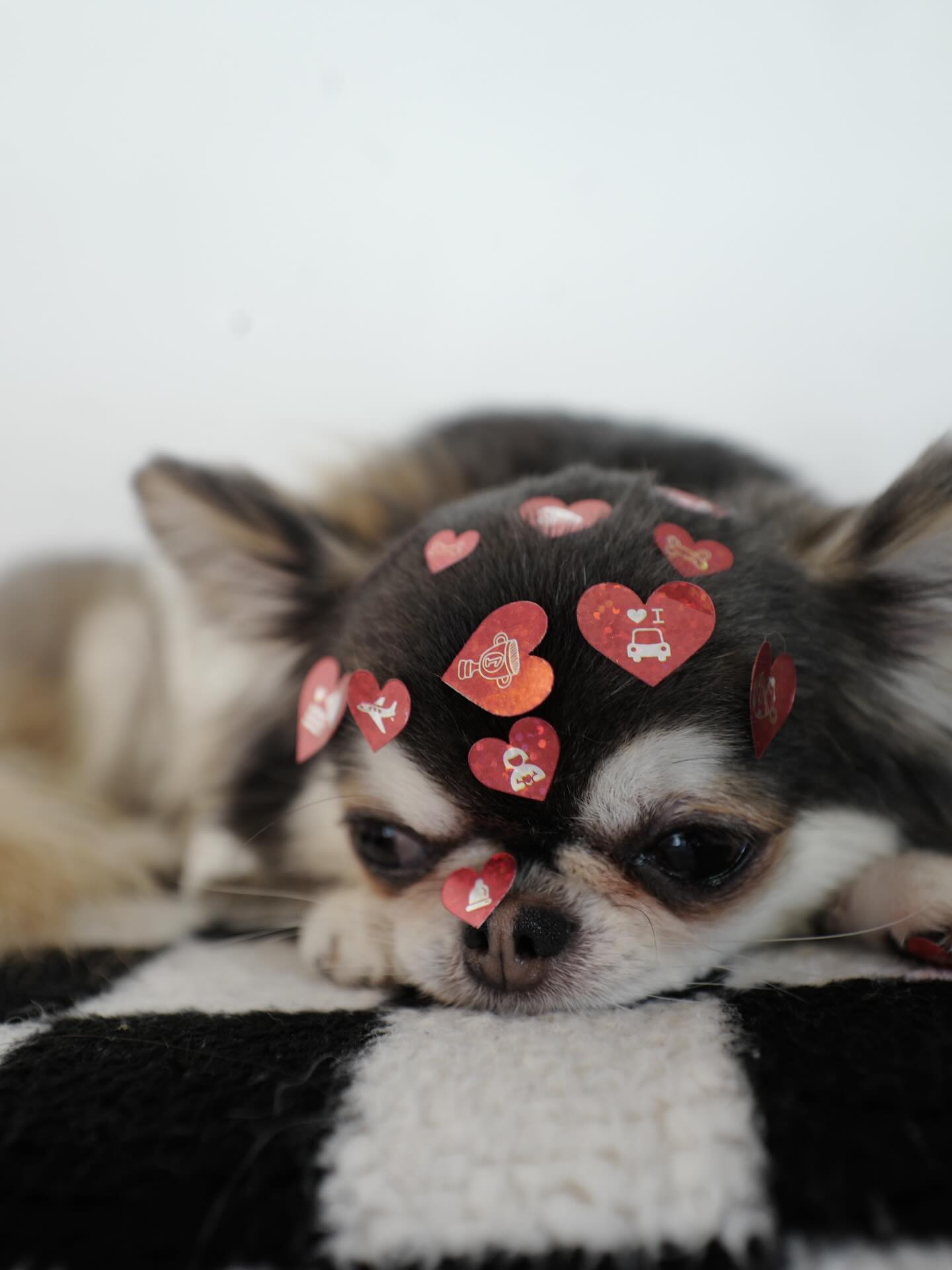 ติ๊นา - ศุภนาฎ จิตตลีลา