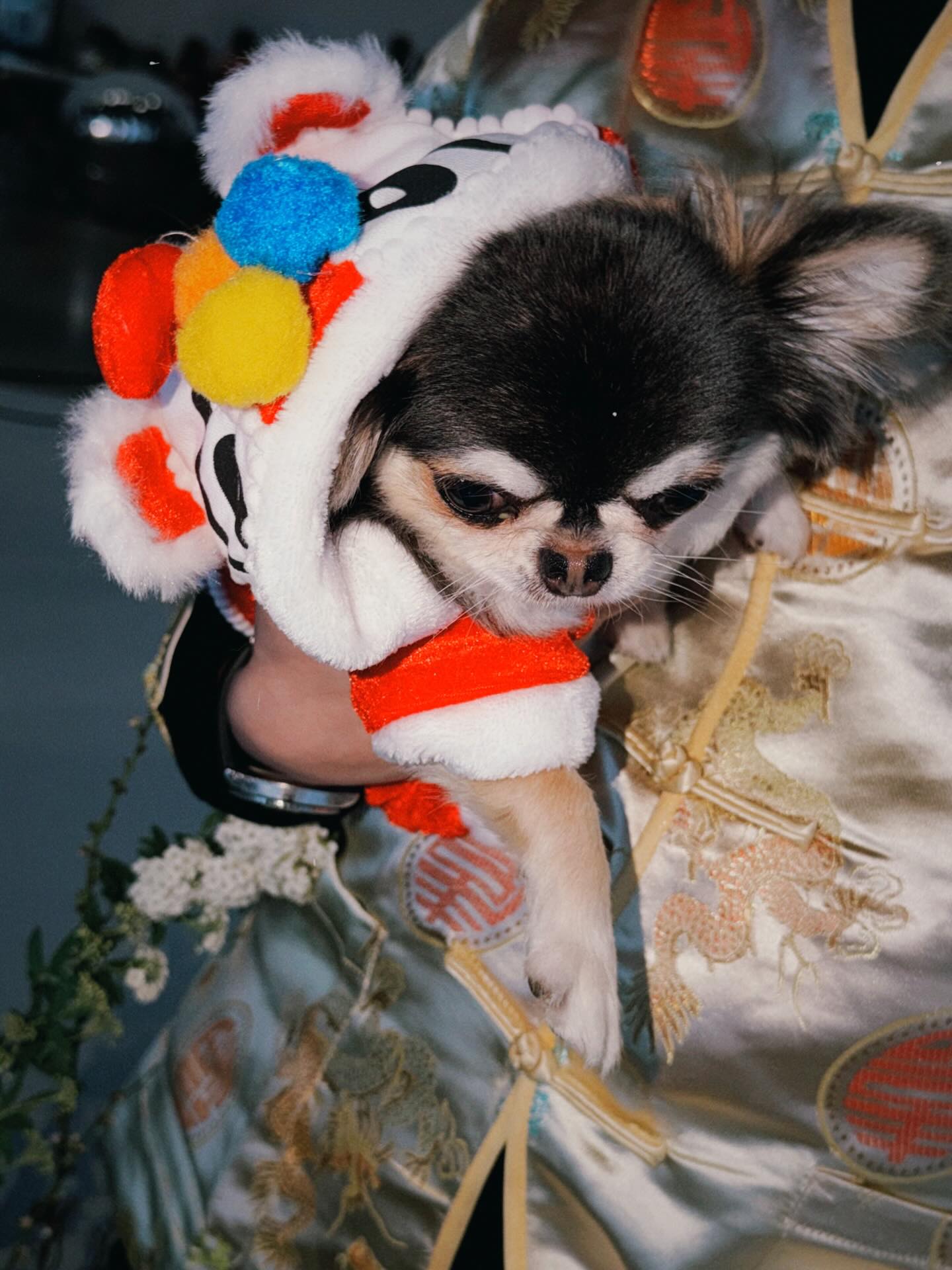 ติ๊นา - ศุภนาฎ จิตตลีลา