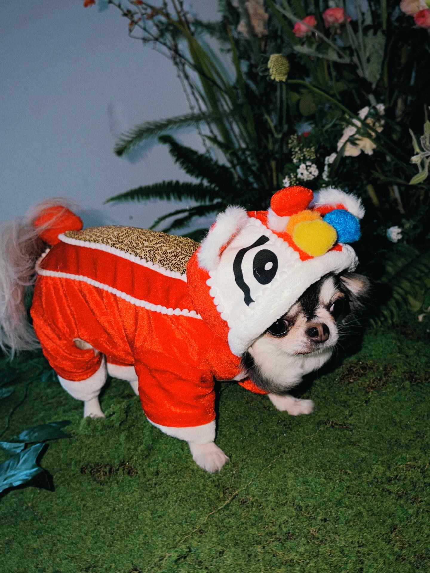 ติ๊นา - ศุภนาฎ จิตตลีลา