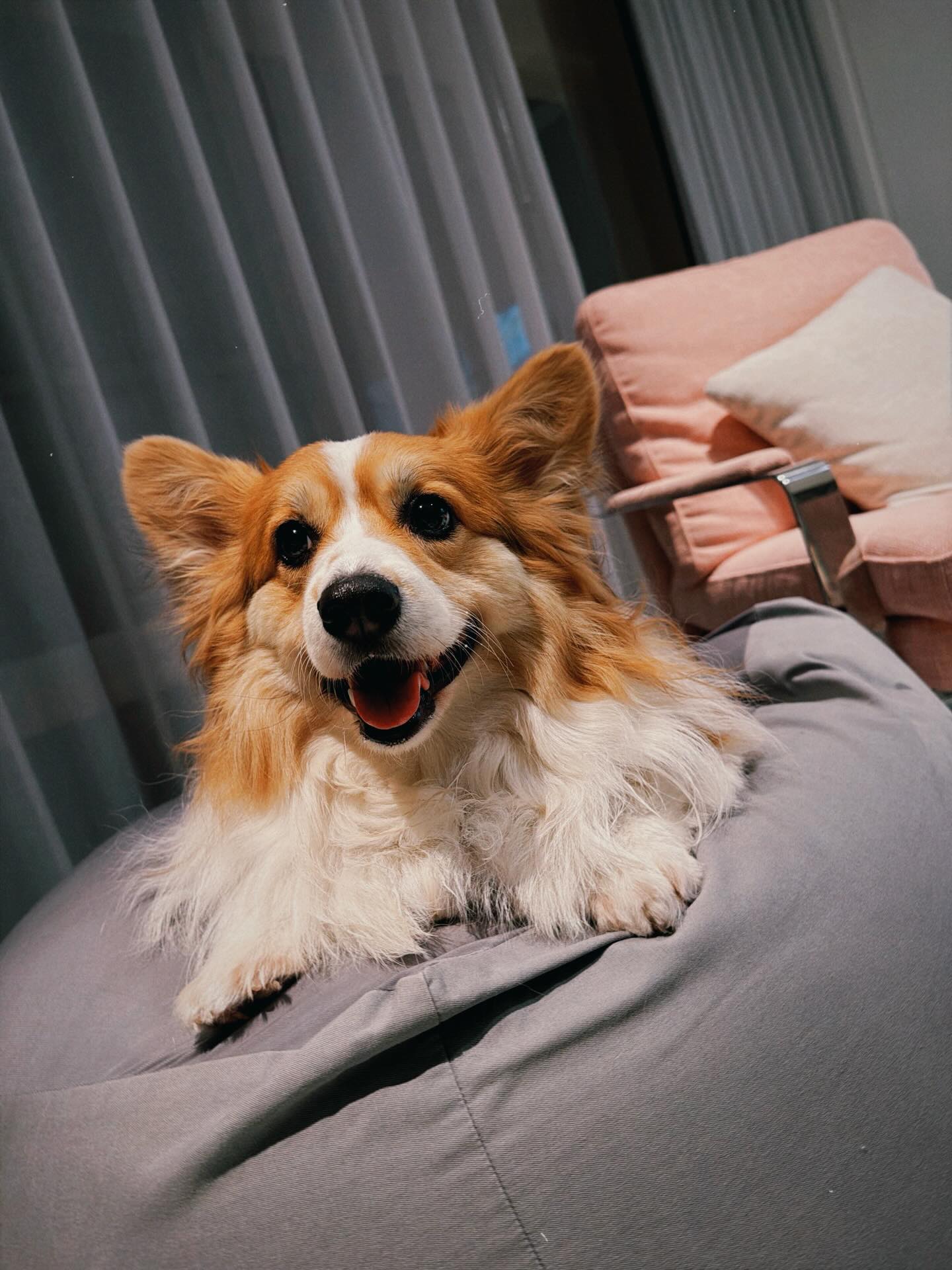 ติ๊นา - ศุภนาฎ จิตตลีลา