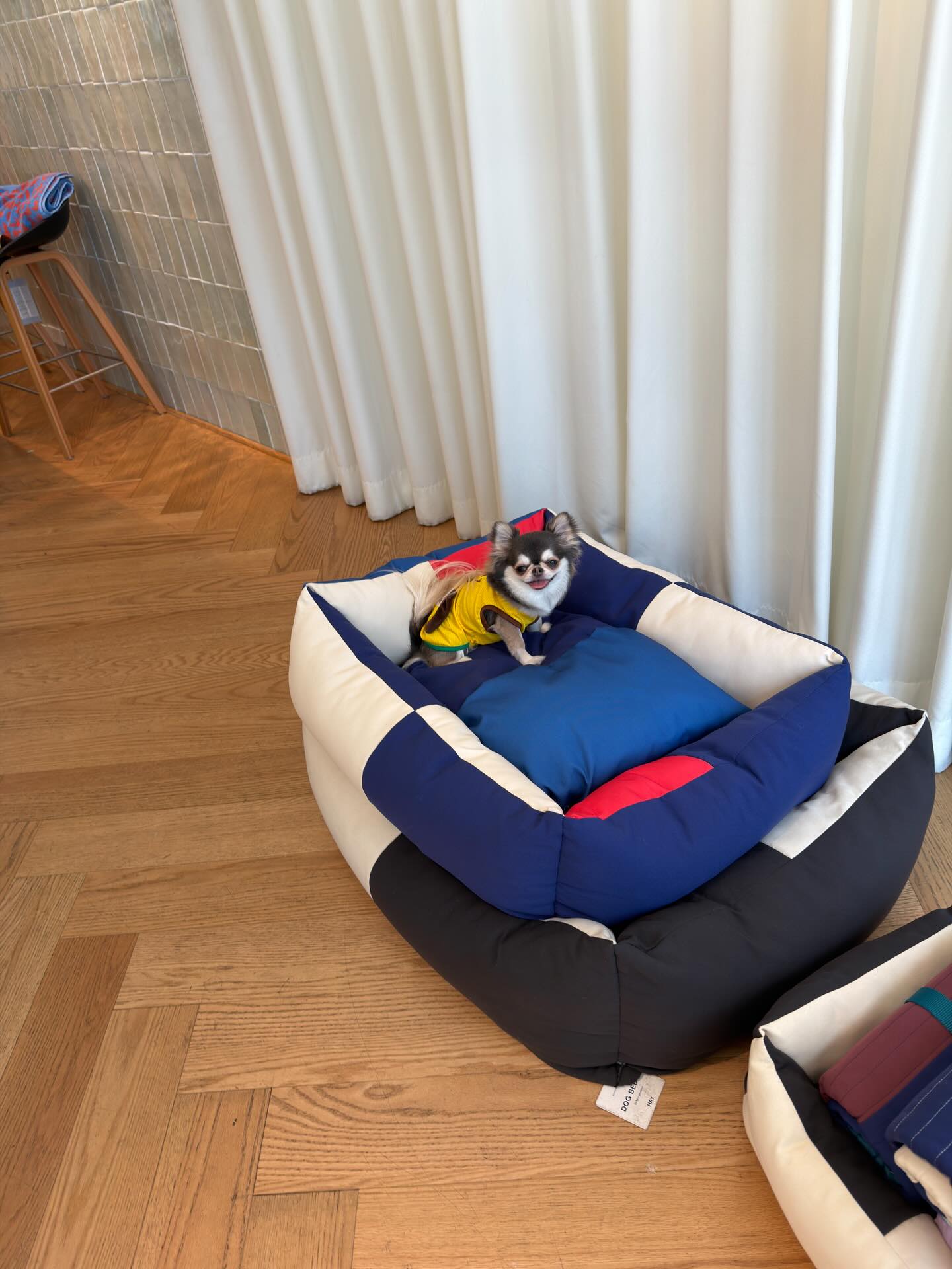 ติ๊นา - ศุภนาฎ จิตตลีลา