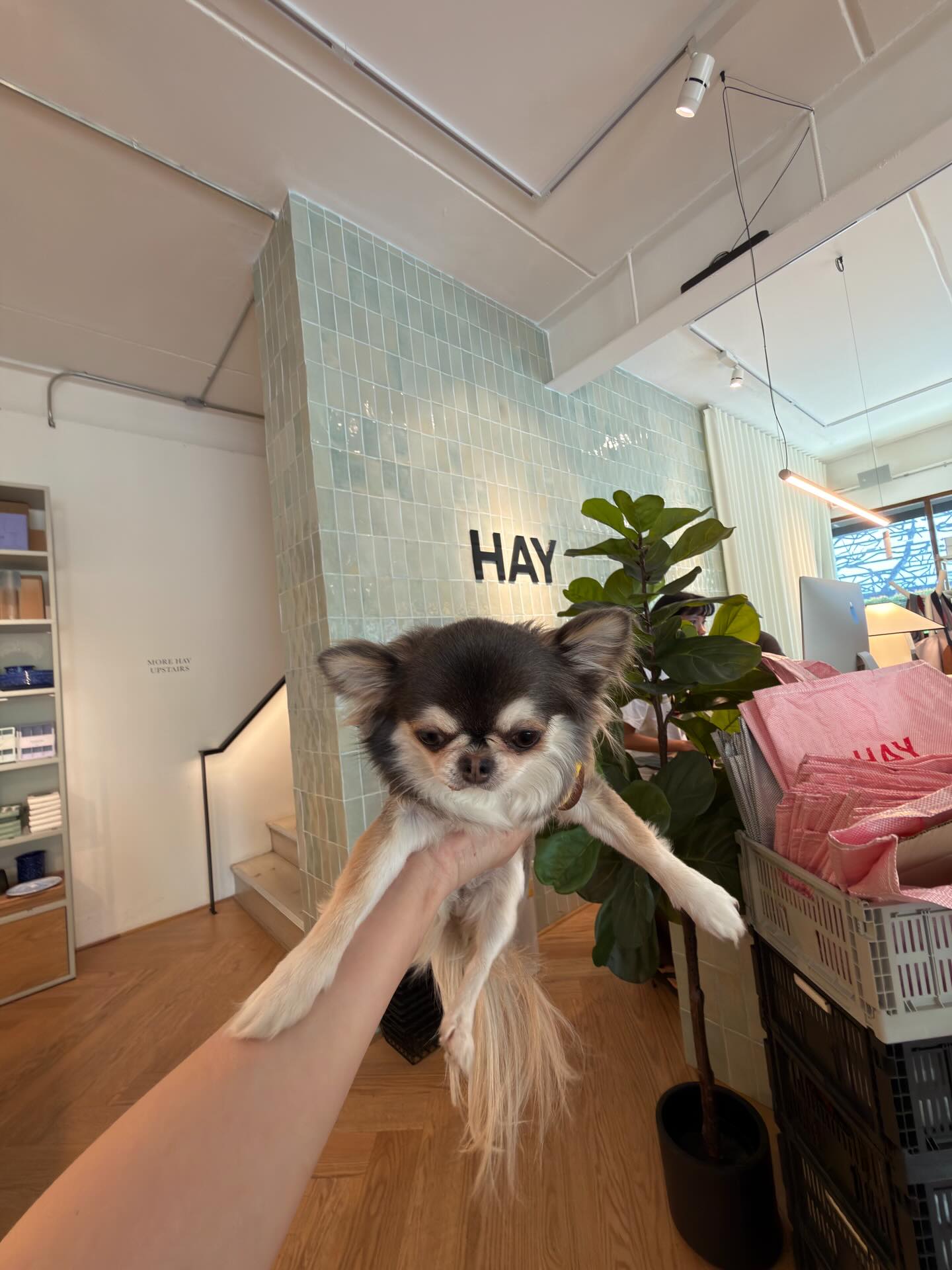 ติ๊นา - ศุภนาฎ จิตตลีลา