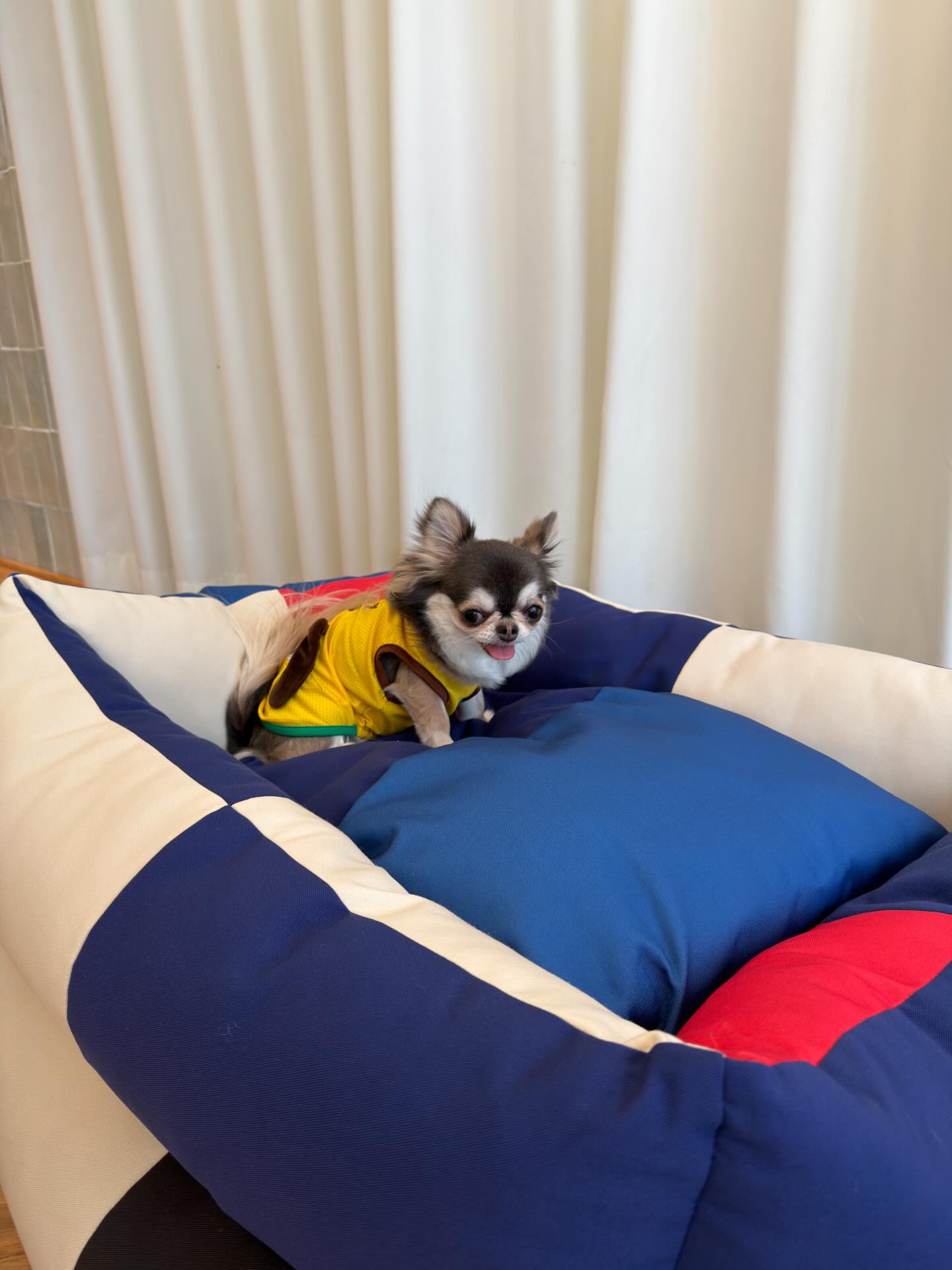 ติ๊นา - ศุภนาฎ จิตตลีลา