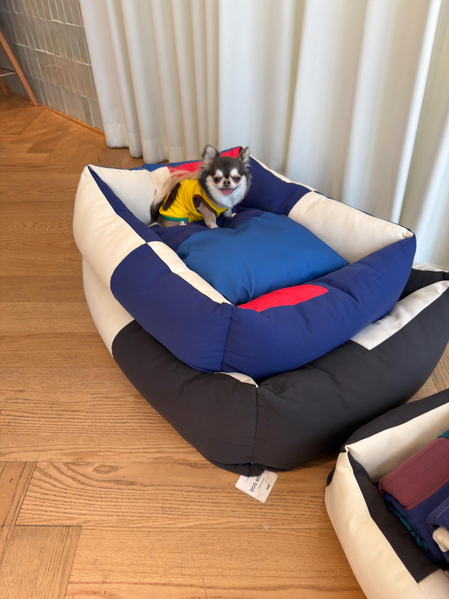 ติ๊นา - ศุภนาฎ จิตตลีลา