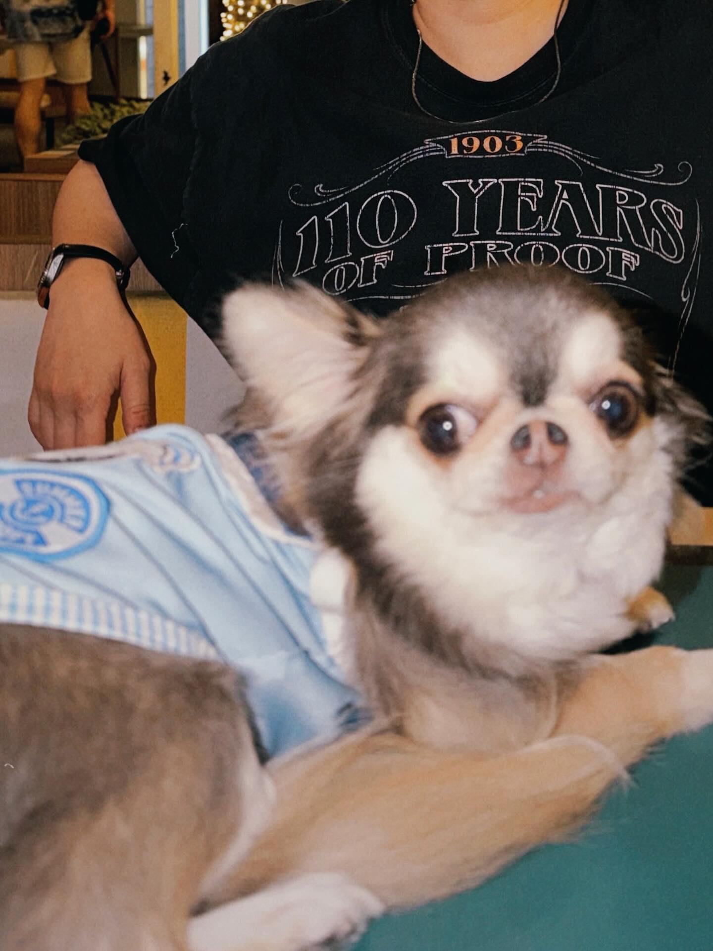 ติ๊นา - ศุภนาฎ จิตตลีลา