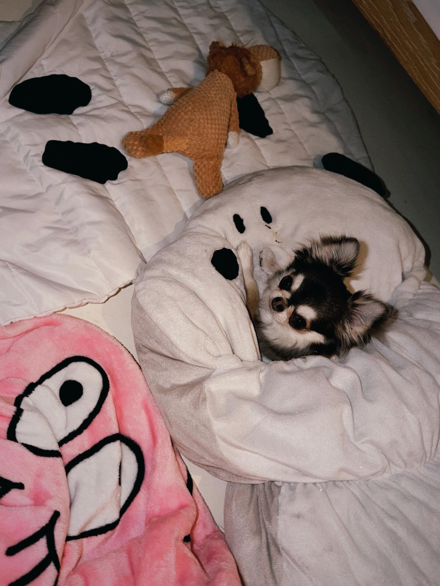 ติ๊นา - ศุภนาฎ จิตตลีลา