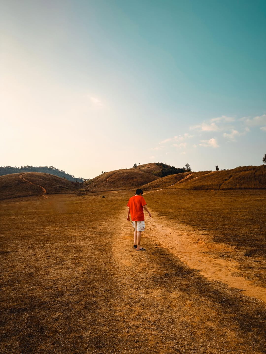 ติ๊นา - ศุภนาฎ จิตตลีลา