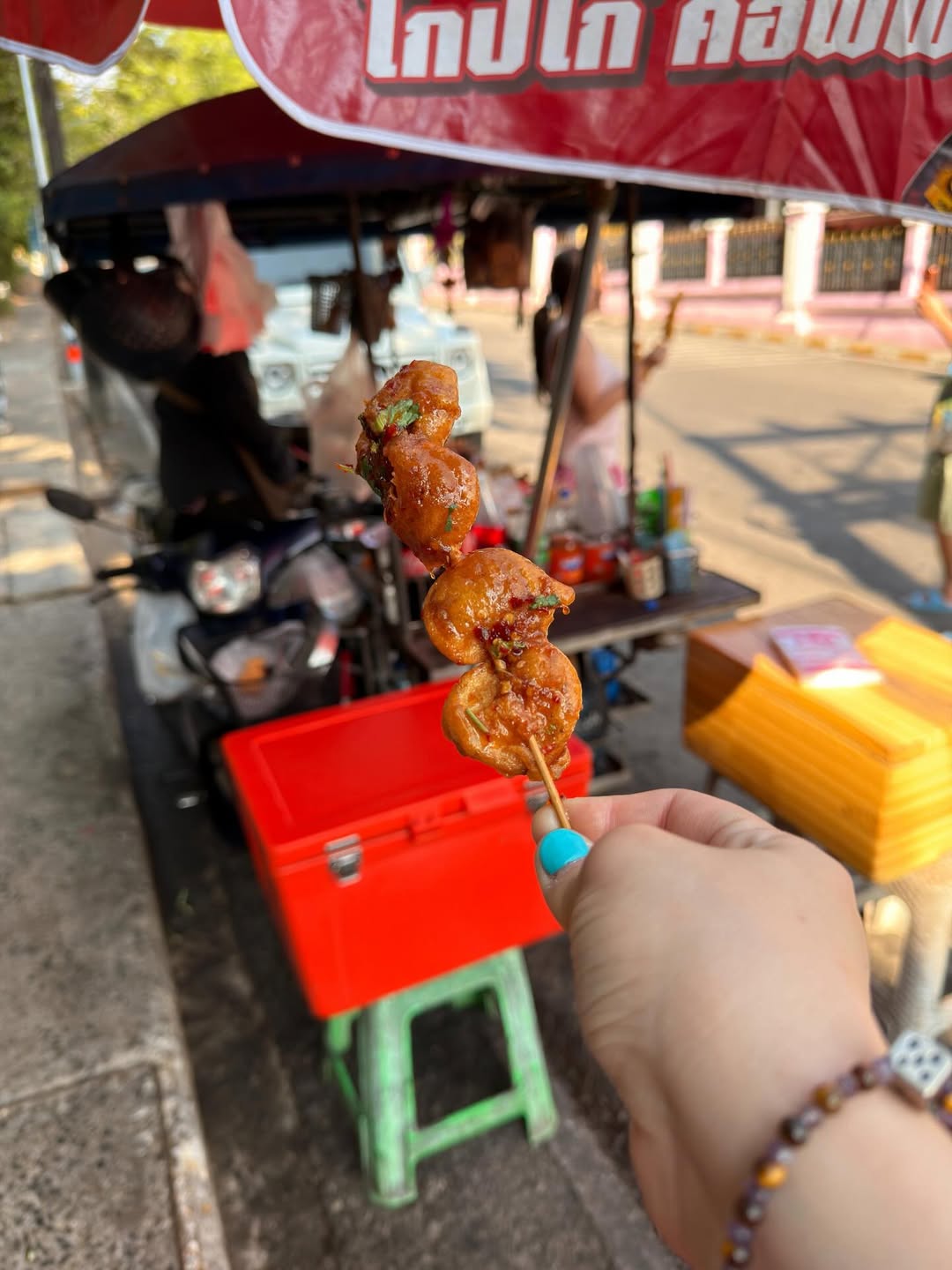 ติ๊นา - ศุภนาฎ จิตตลีลา