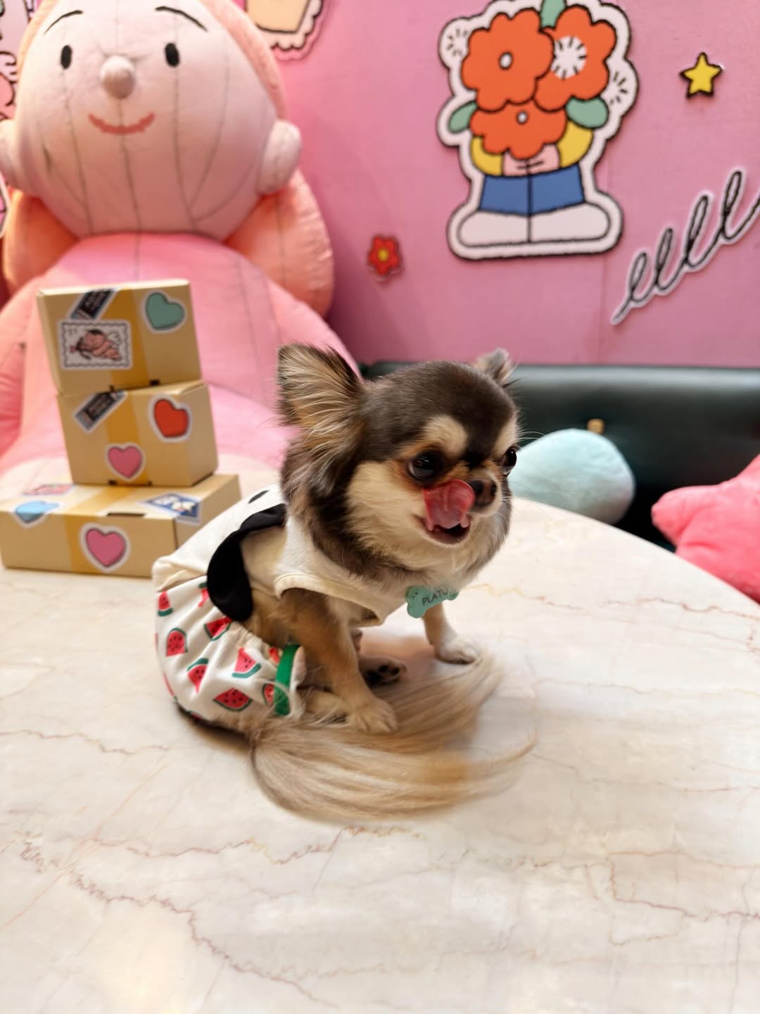 ติ๊นา - ศุภนาฎ จิตตลีลา