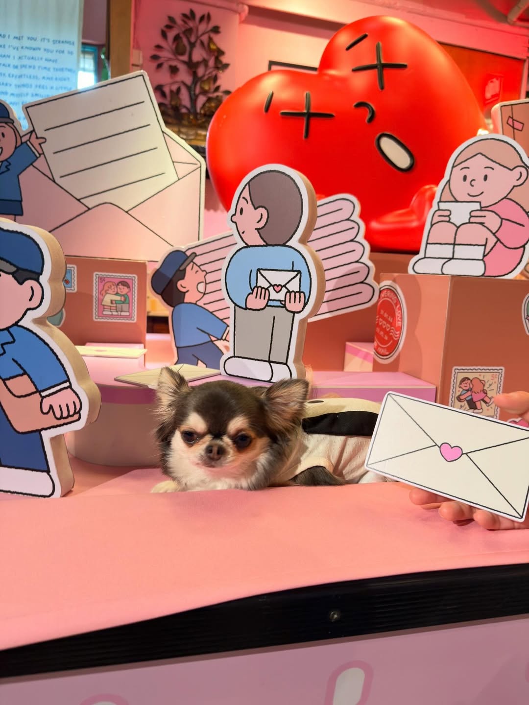 ติ๊นา - ศุภนาฎ จิตตลีลา