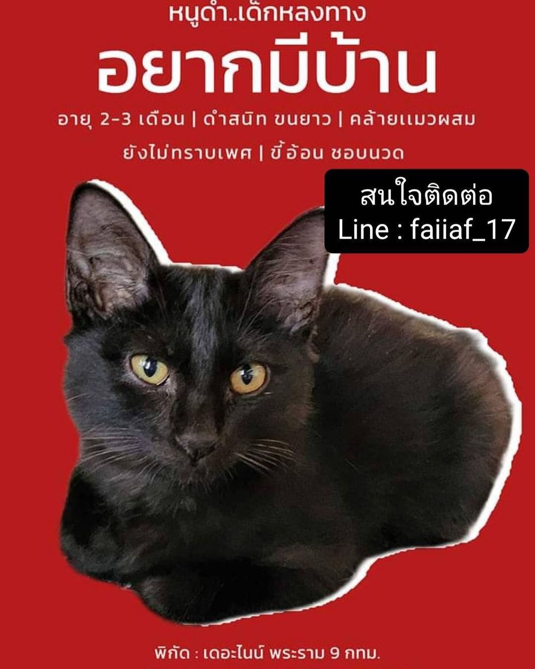 แพรว - คณิตกุล เนตรบุตร