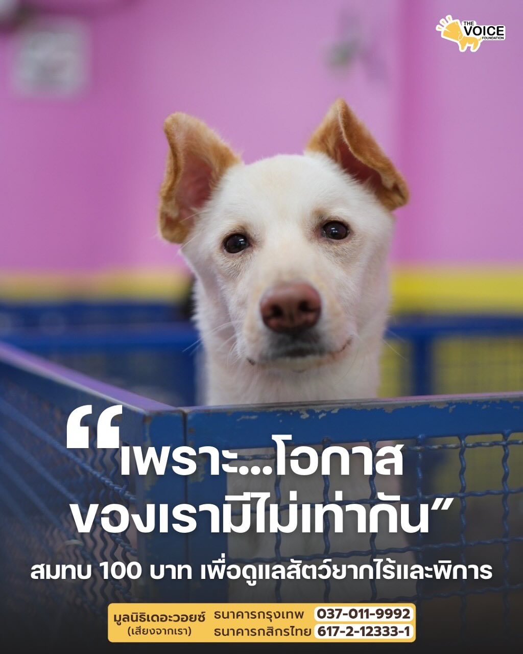 แพรว - คณิตกุล เนตรบุตร