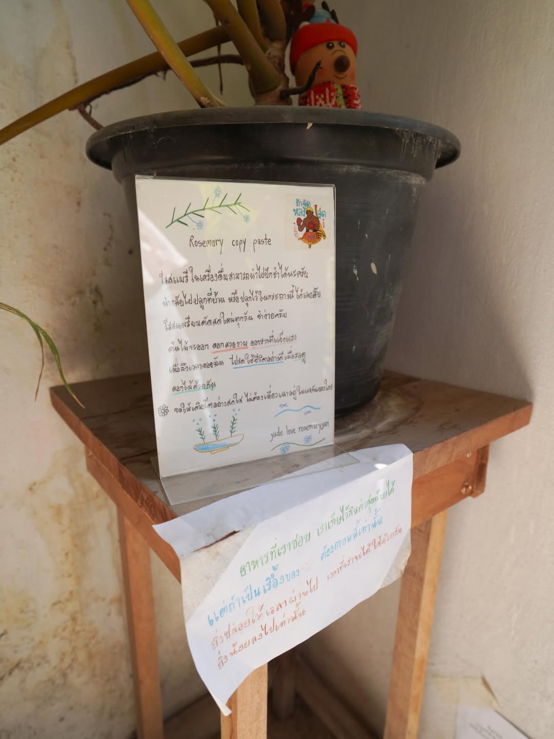 แพรว - คณิตกุล เนตรบุตร