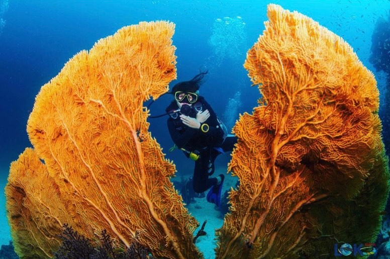 แพรว - คณิตกุล เนตรบุตร