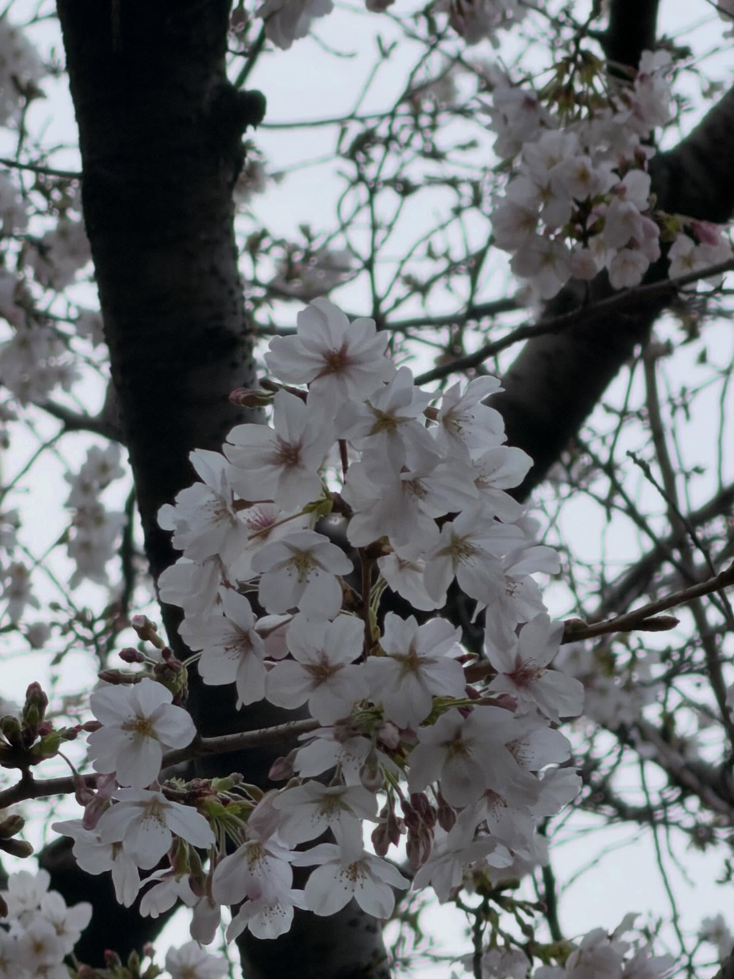 บุ๋น - นพณัฐ กันทะชัย