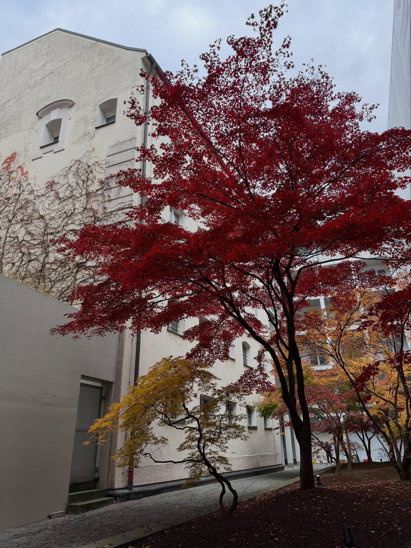 โม - มนชนก แสงฉายเพียงเพ็ญ