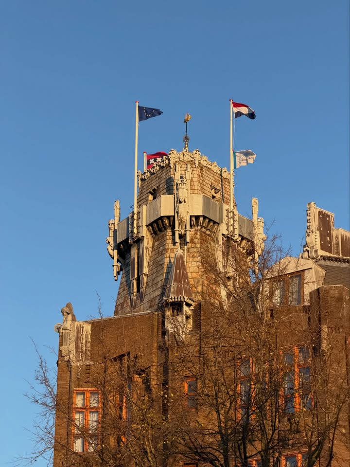 โม - มนชนก แสงฉายเพียงเพ็ญ