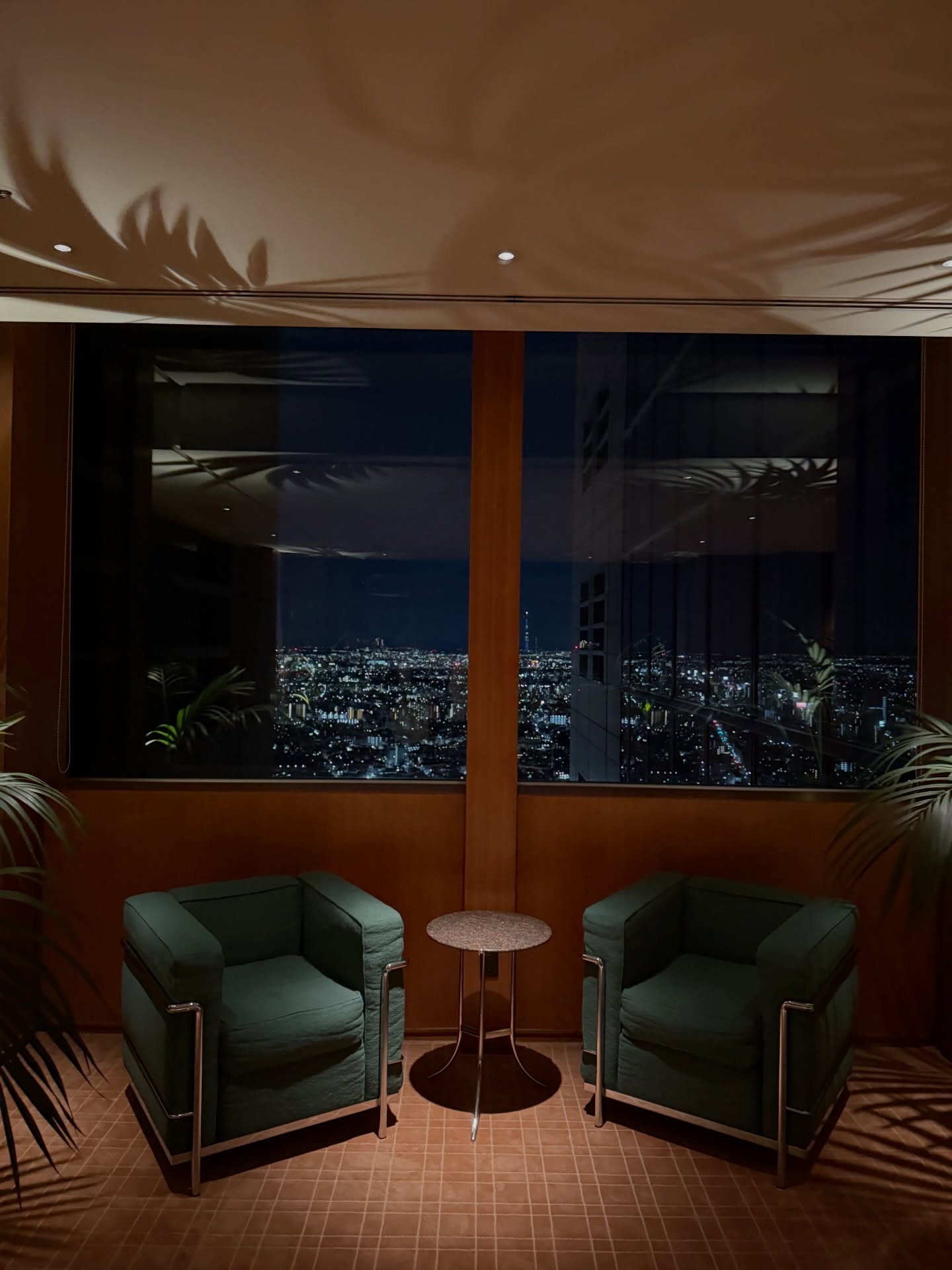 โม - มนชนก แสงฉายเพียงเพ็ญ