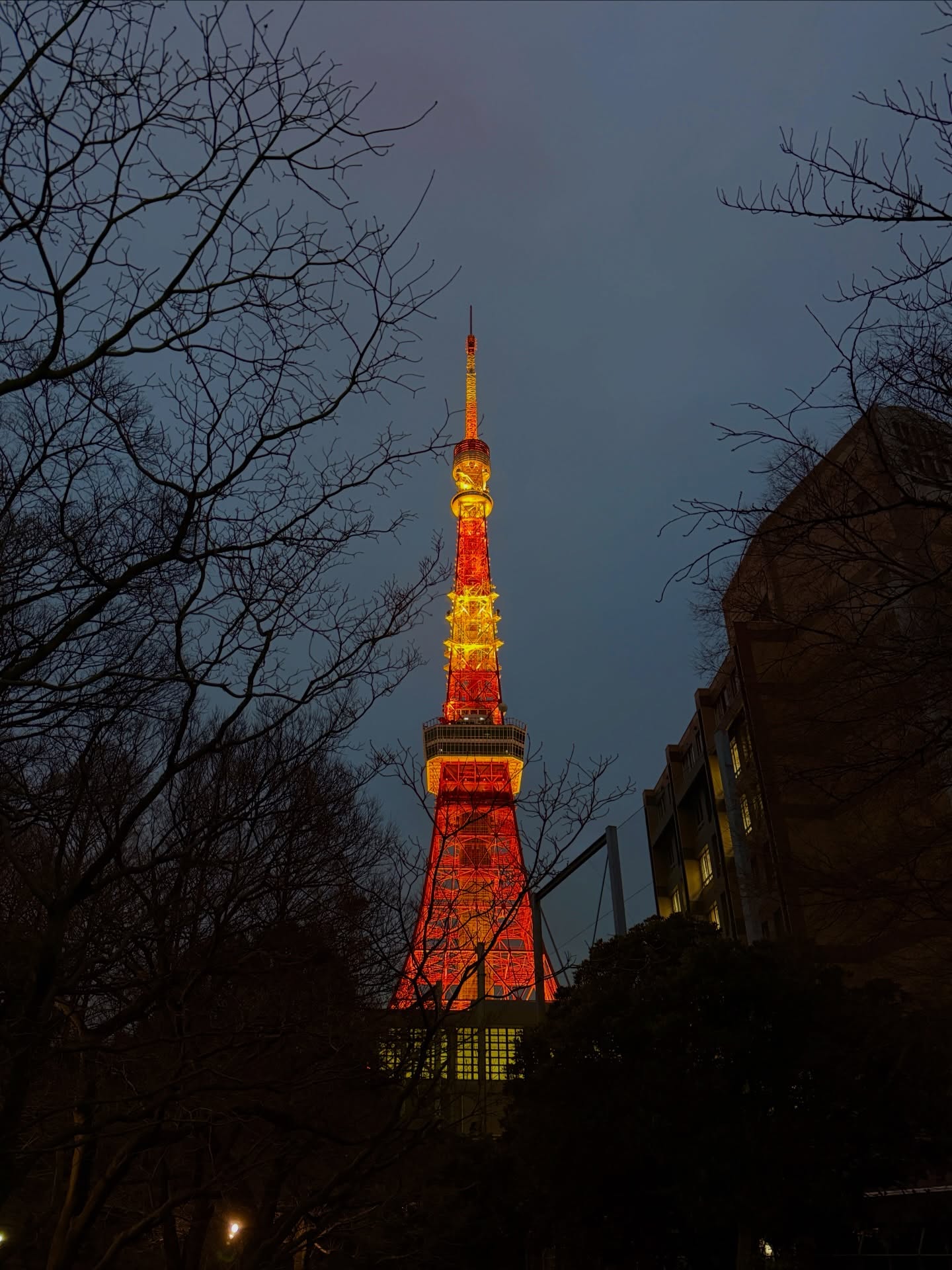 โม - มนชนก แสงฉายเพียงเพ็ญ