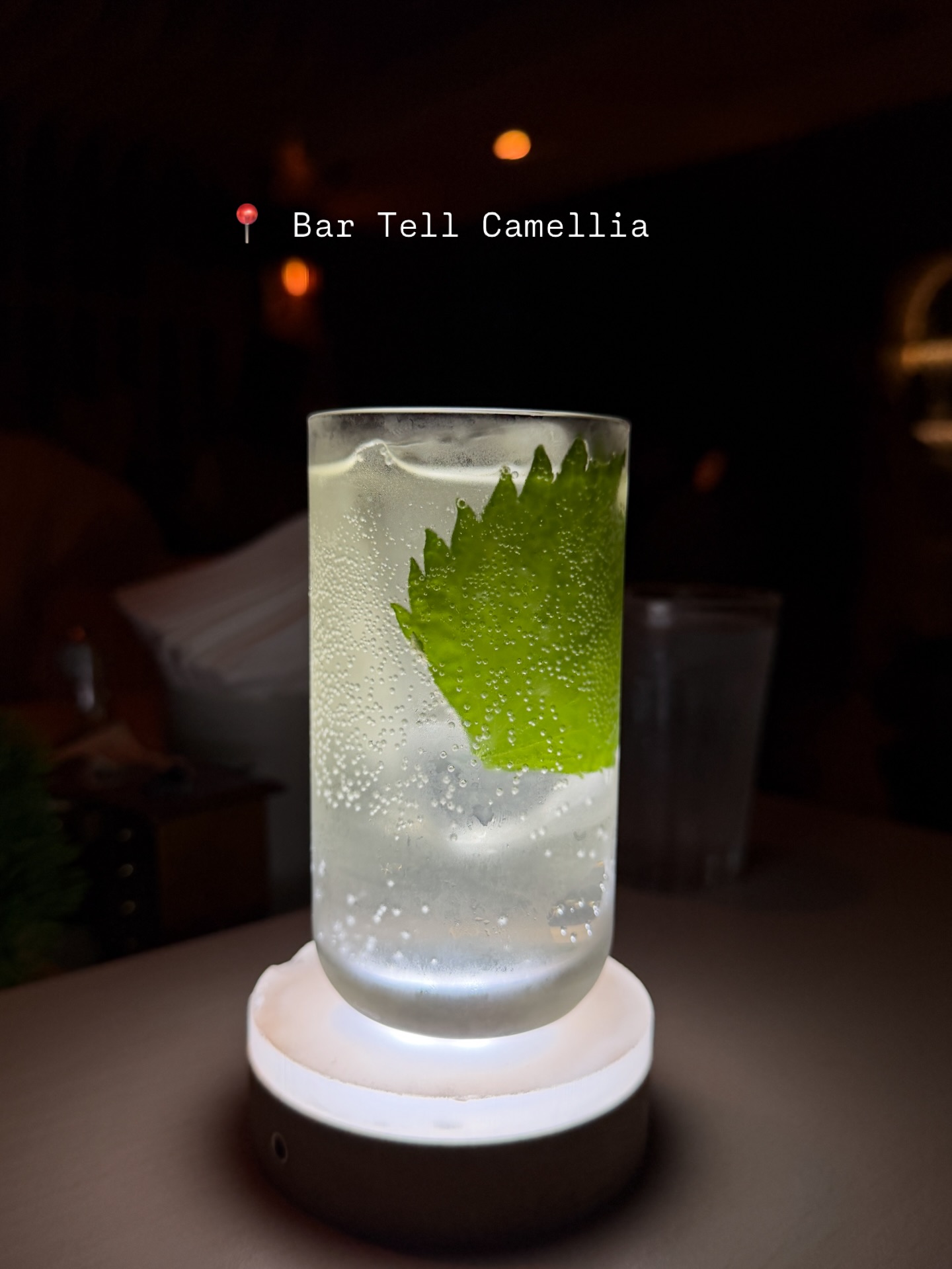 โม - มนชนก แสงฉายเพียงเพ็ญ