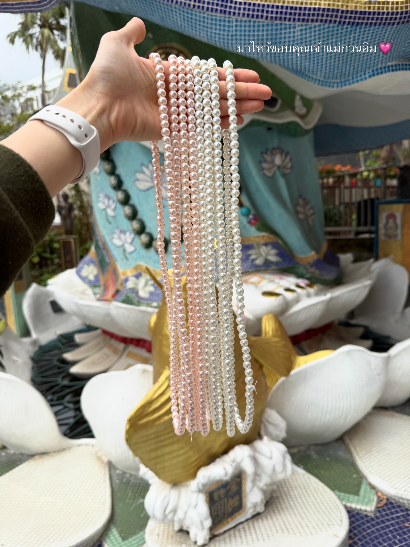 โม - มนชนก แสงฉายเพียงเพ็ญ