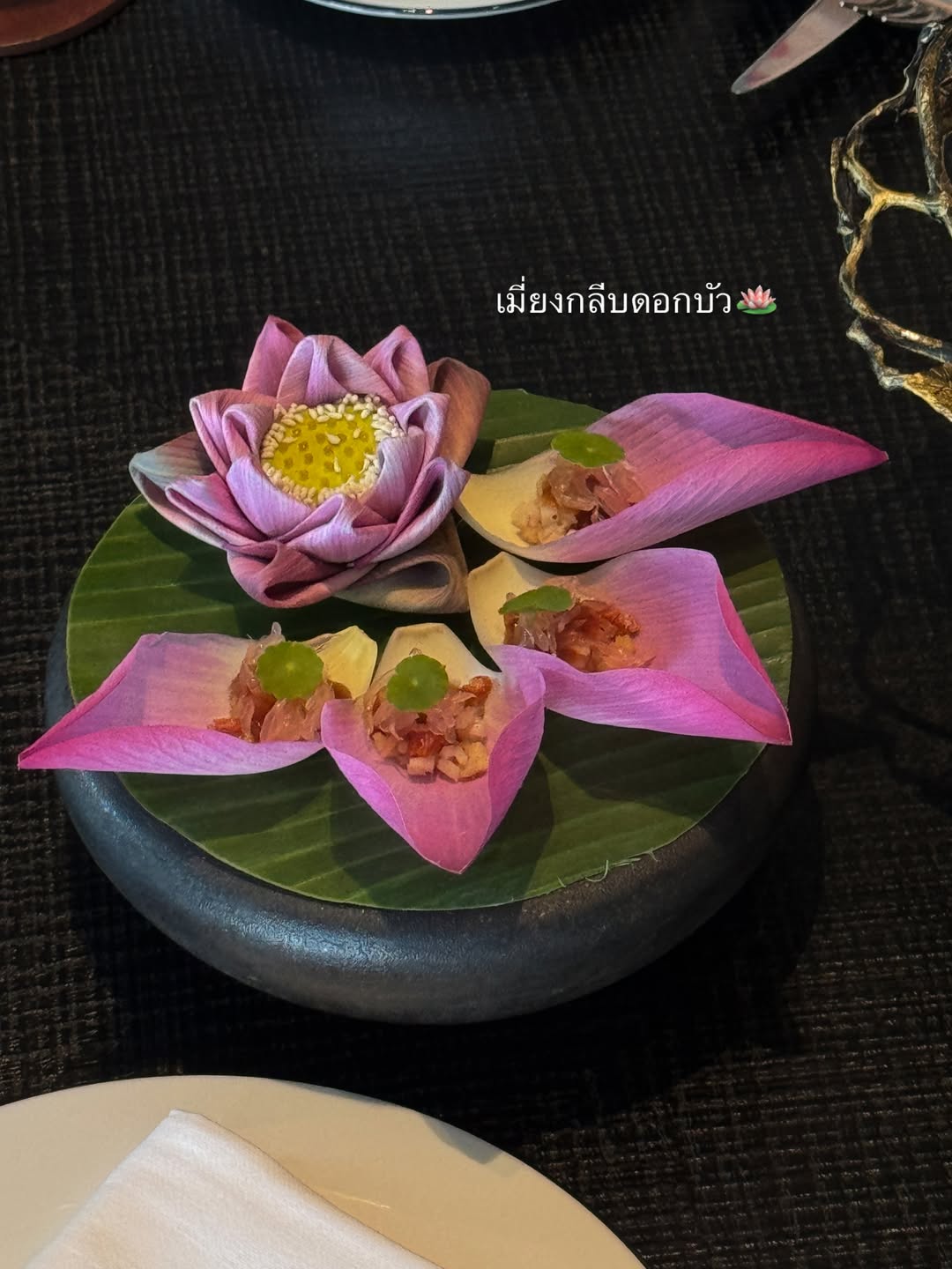 โม - มนชนก แสงฉายเพียงเพ็ญ