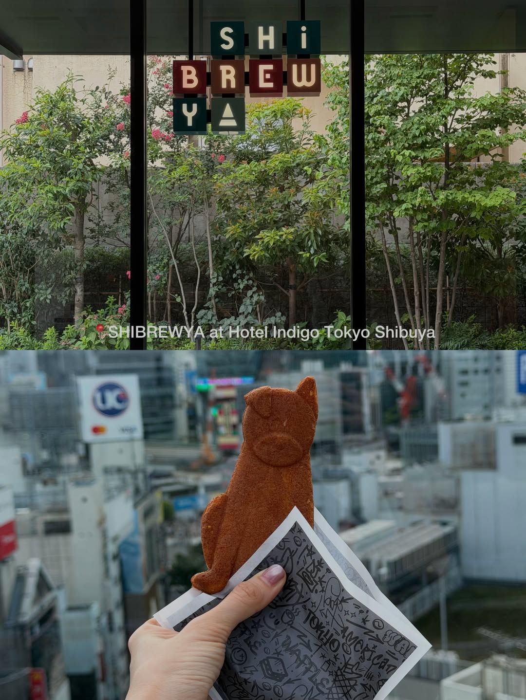 โม - มนชนก แสงฉายเพียงเพ็ญ