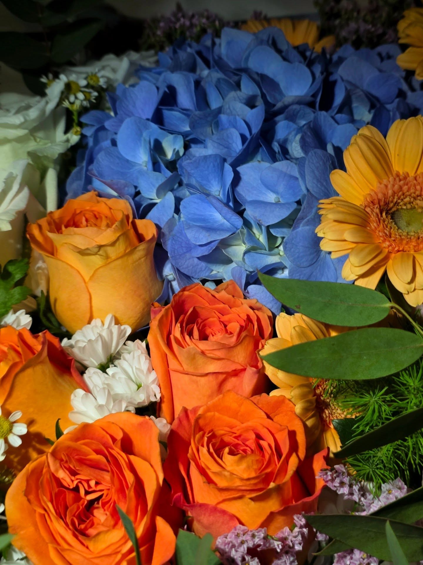 จูเนียร์ - ปณชัย ศรีอาริยะรุ่งเรือง