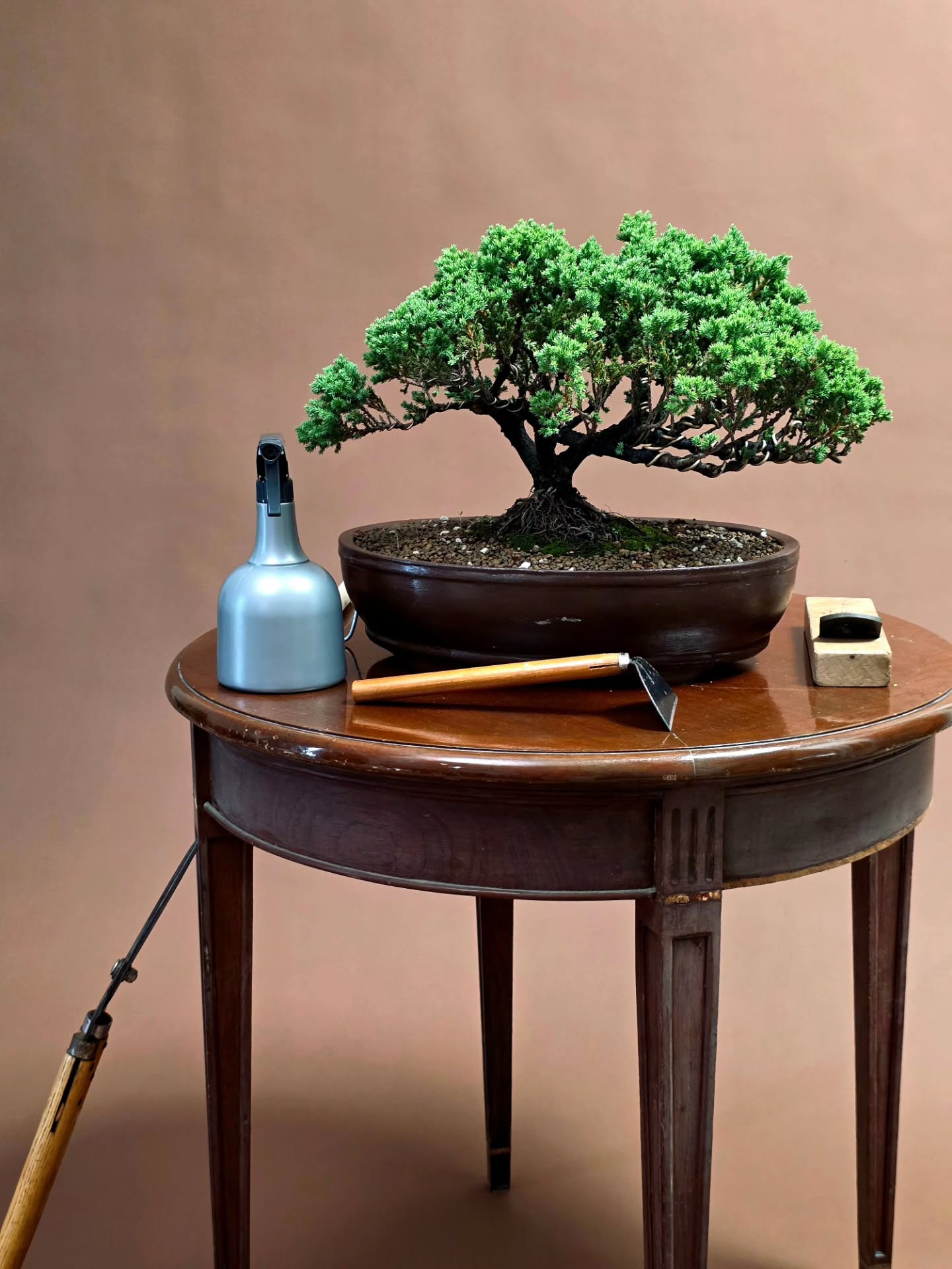 จูเนียร์ - ปณชัย ศรีอาริยะรุ่งเรือง