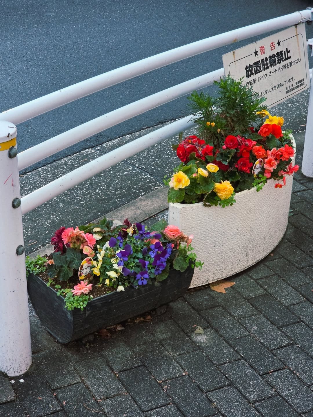 จูเนียร์ - ปณชัย ศรีอาริยะรุ่งเรือง