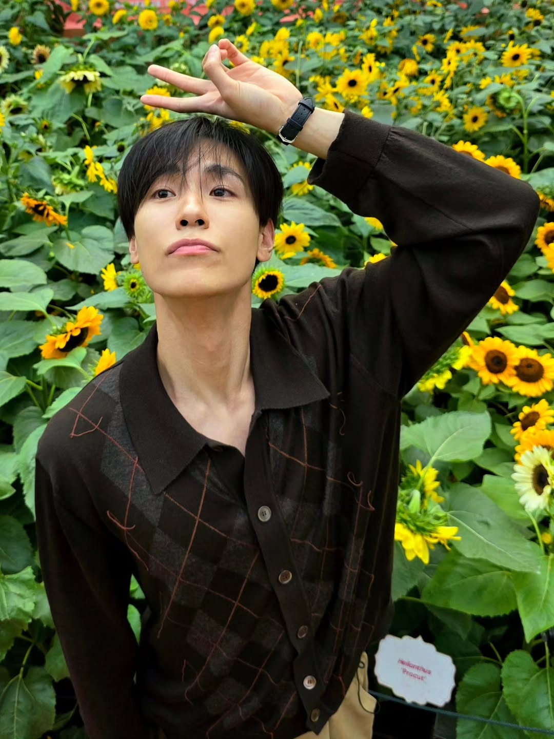 จูเนียร์ - ปณชัย ศรีอาริยะรุ่งเรือง