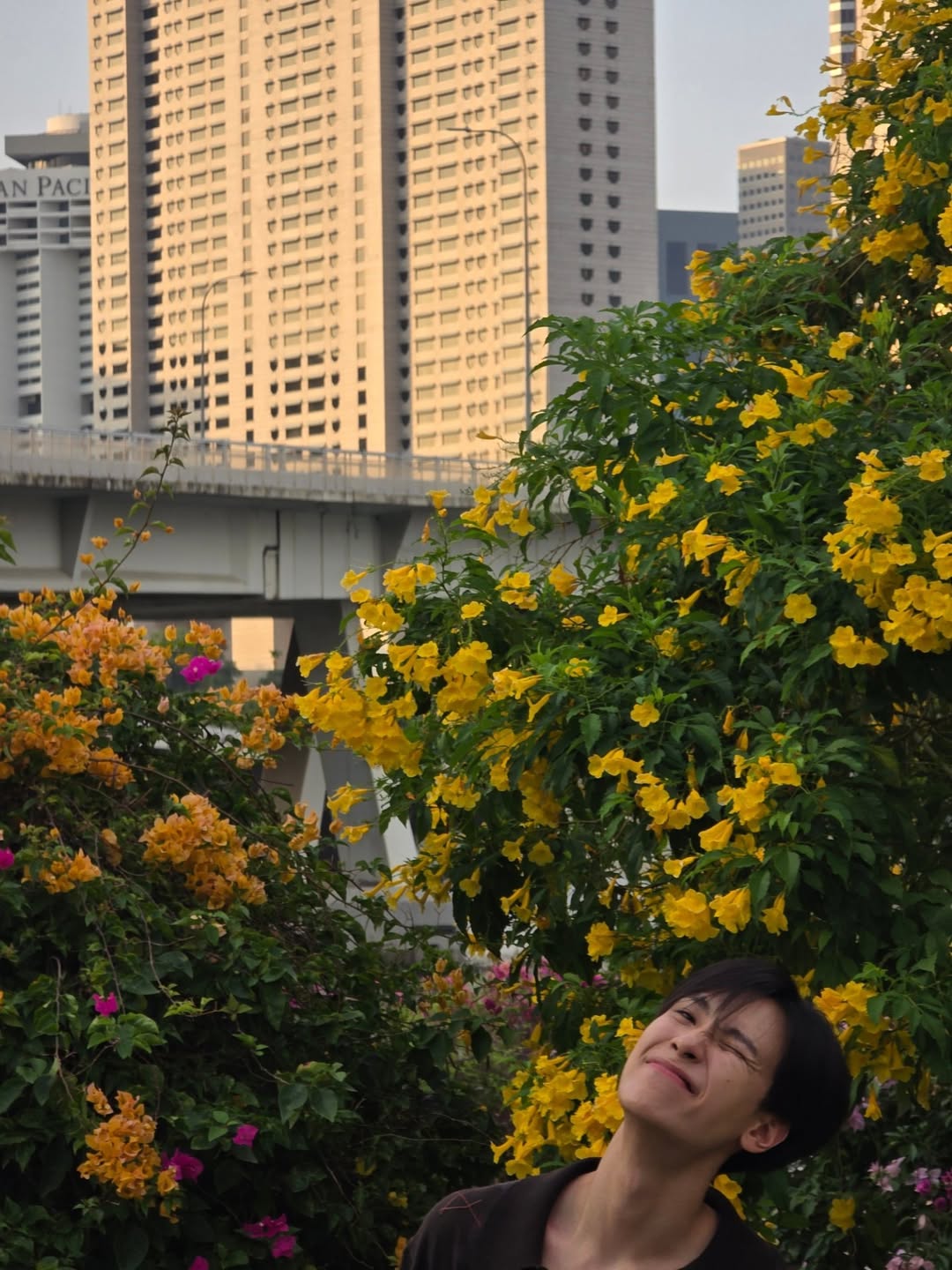 จูเนียร์ - ปณชัย ศรีอาริยะรุ่งเรือง