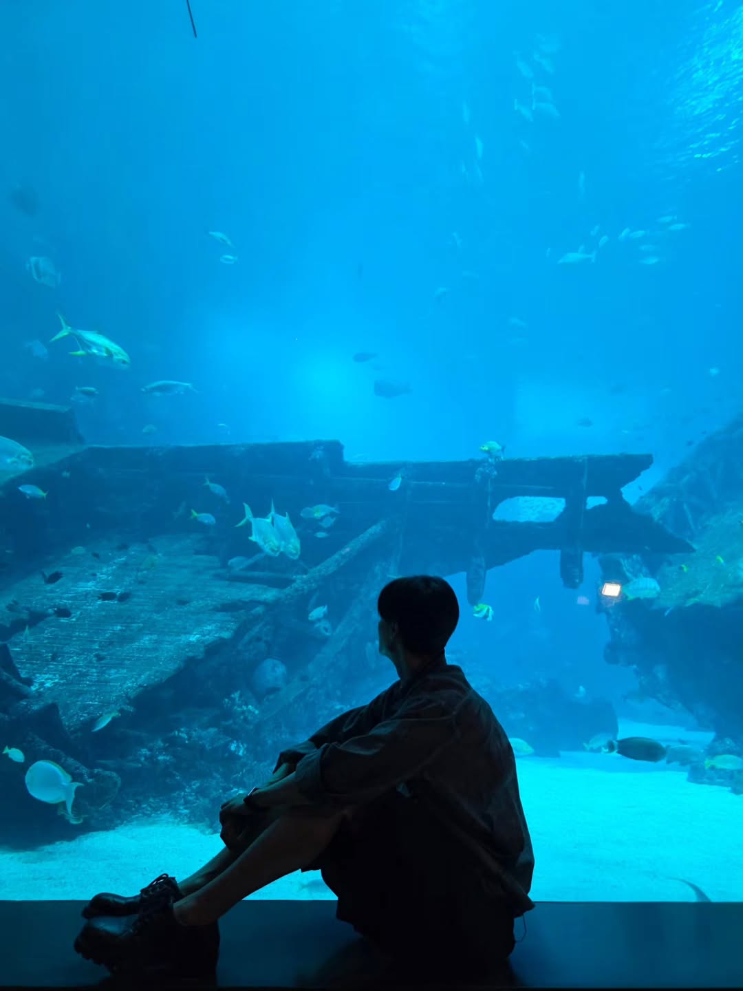 จูเนียร์ - ปณชัย ศรีอาริยะรุ่งเรือง