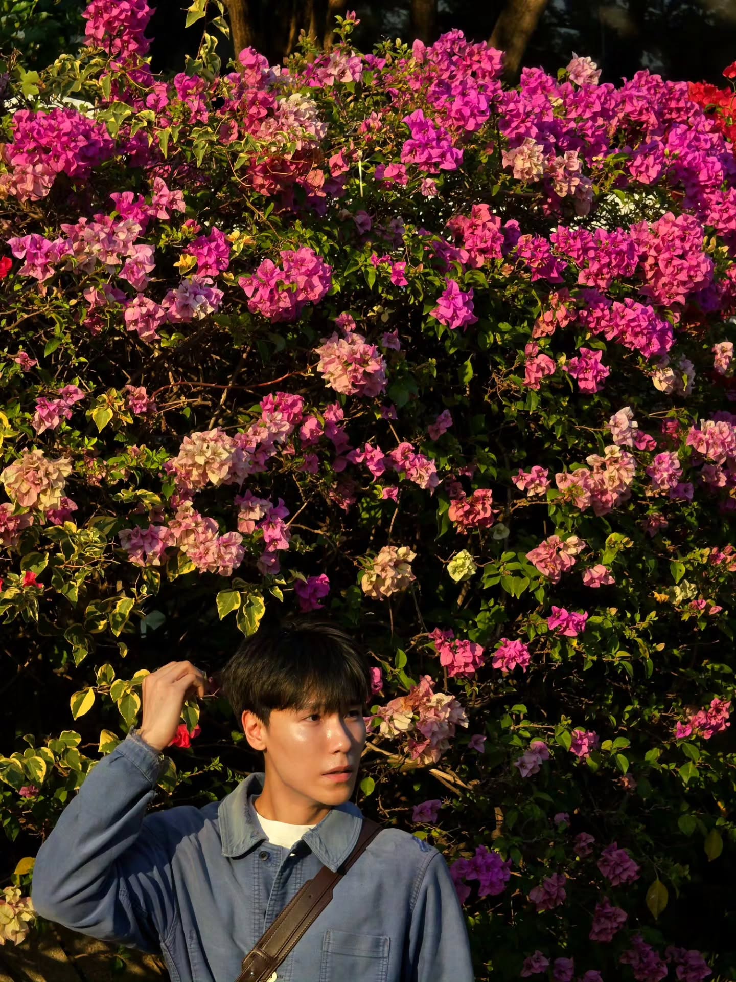 จูเนียร์ - ปณชัย ศรีอาริยะรุ่งเรือง