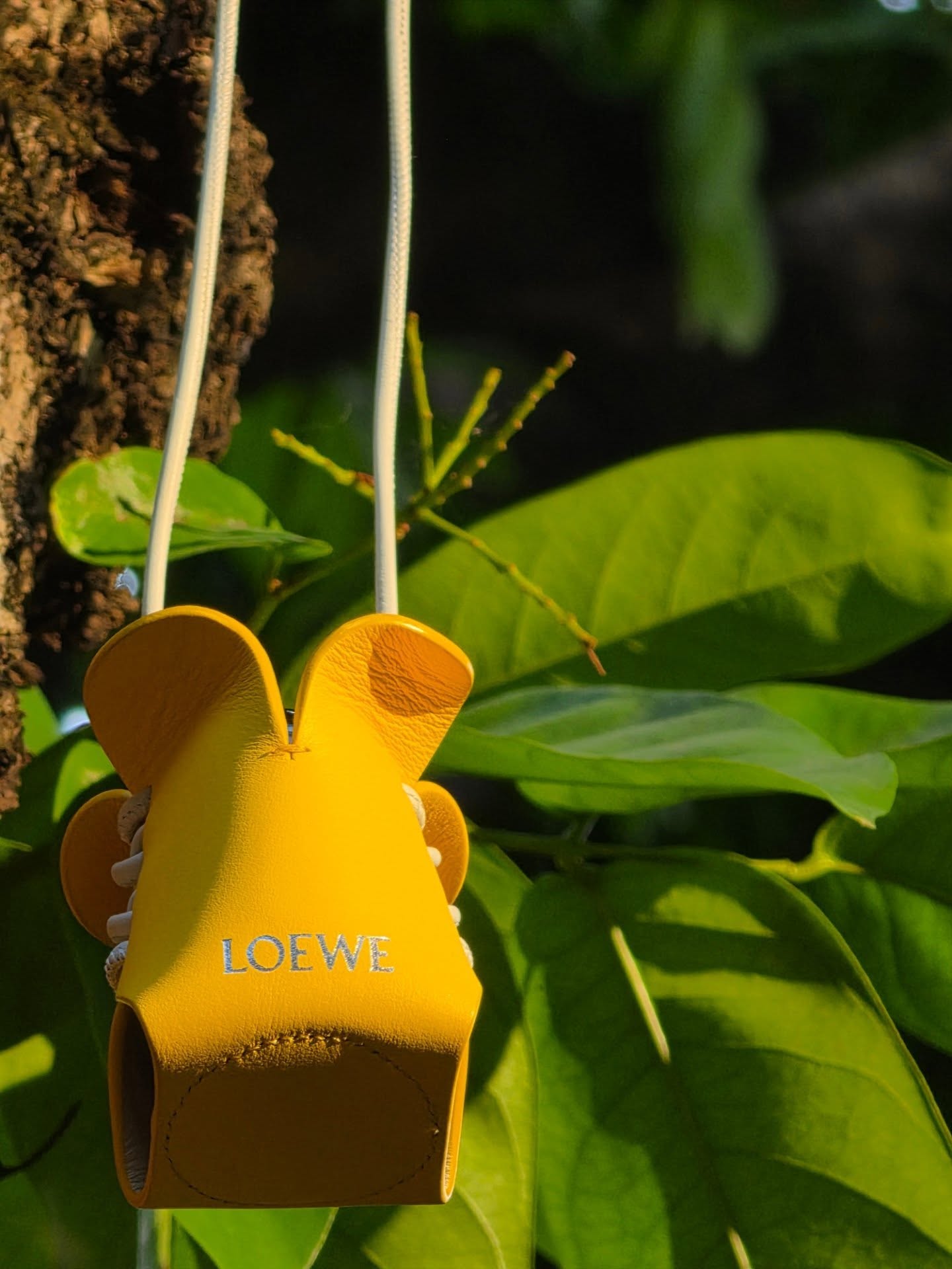 จูเนียร์ - ปณชัย ศรีอาริยะรุ่งเรือง