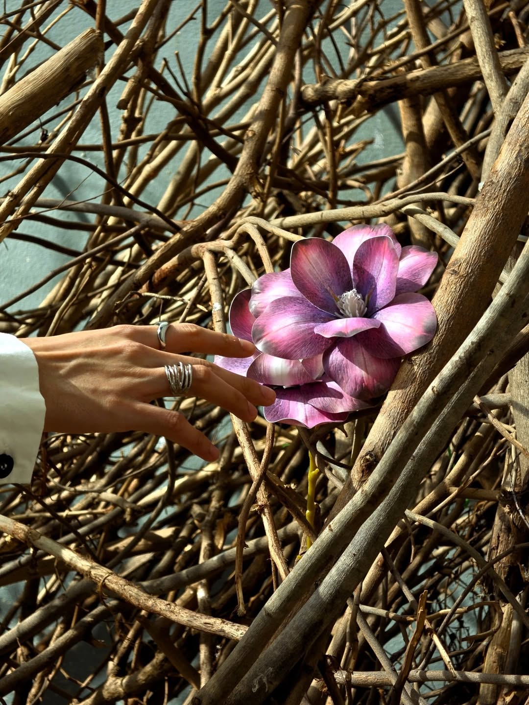 จูเนียร์ - ปณชัย ศรีอาริยะรุ่งเรือง