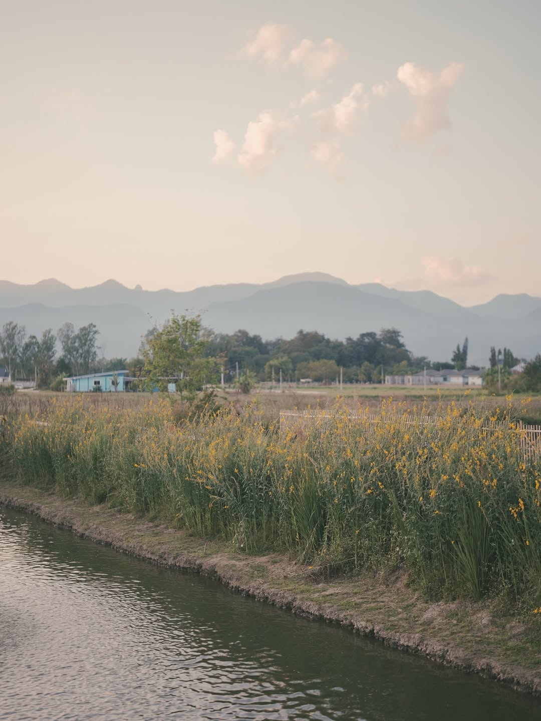 หญิง - กัญญาพัชญ์ ธนันต์ชัยกานต์