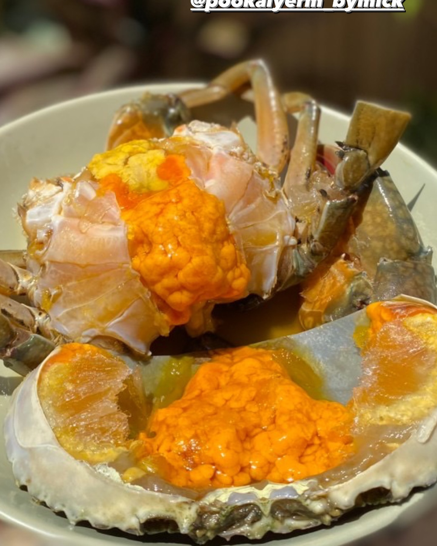 มิค - บรมวุฒิ หิรัณยัษฐิติ