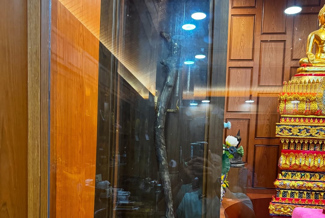มิค - บรมวุฒิ หิรัณยัษฐิติ
