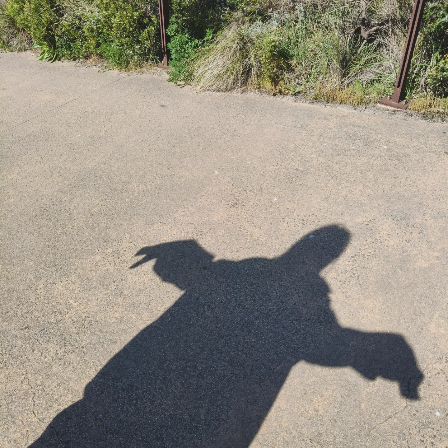 อินเตอร์ - รุ่งรดา รุ่งลิขิตเจริญ