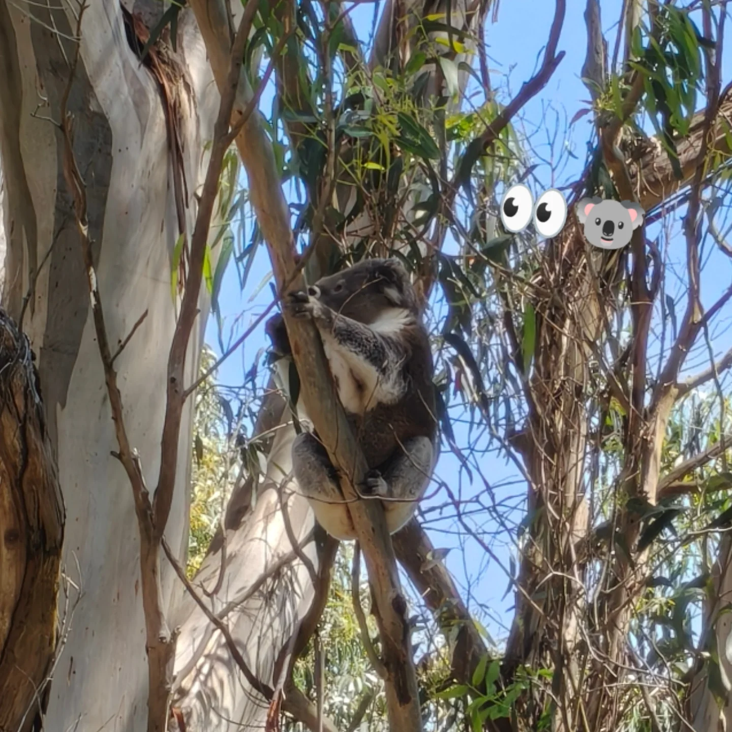 อินเตอร์ - รุ่งรดา รุ่งลิขิตเจริญ