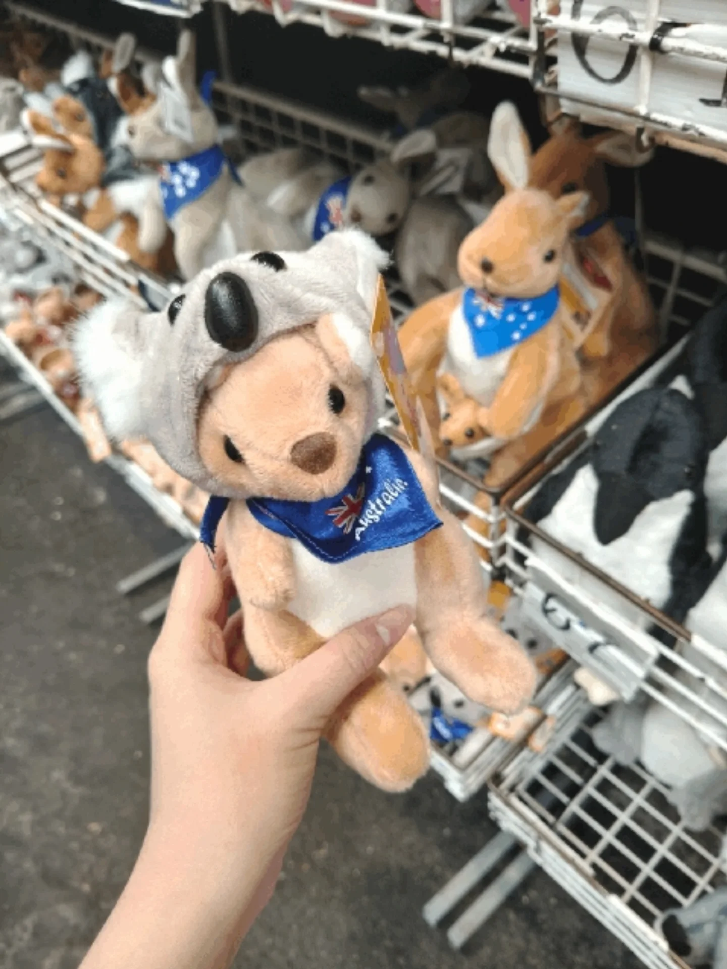 อินเตอร์ - รุ่งรดา รุ่งลิขิตเจริญ