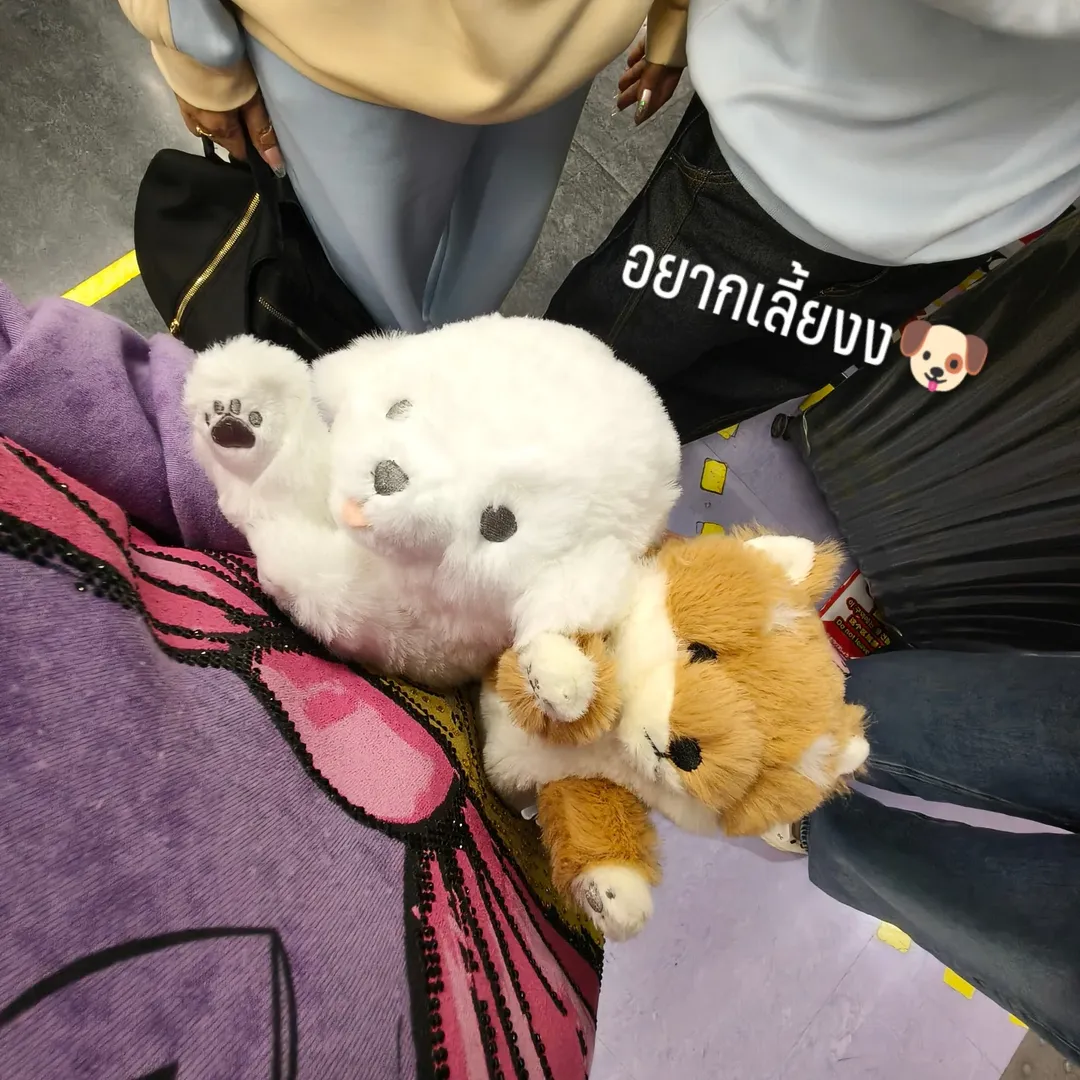 อินเตอร์ - รุ่งรดา รุ่งลิขิตเจริญ