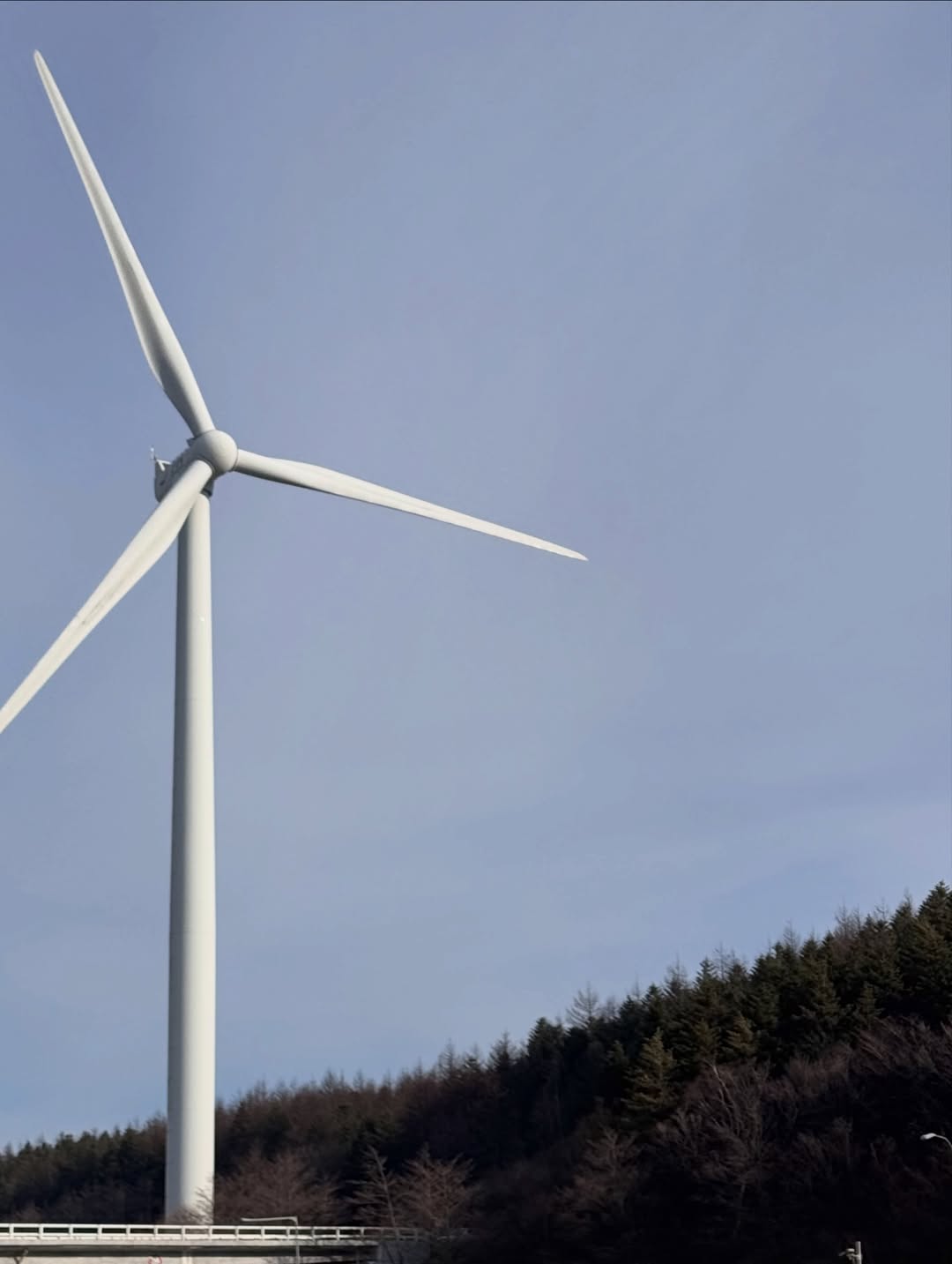 แซนต้า - พงศภัค อุดมโภชน์