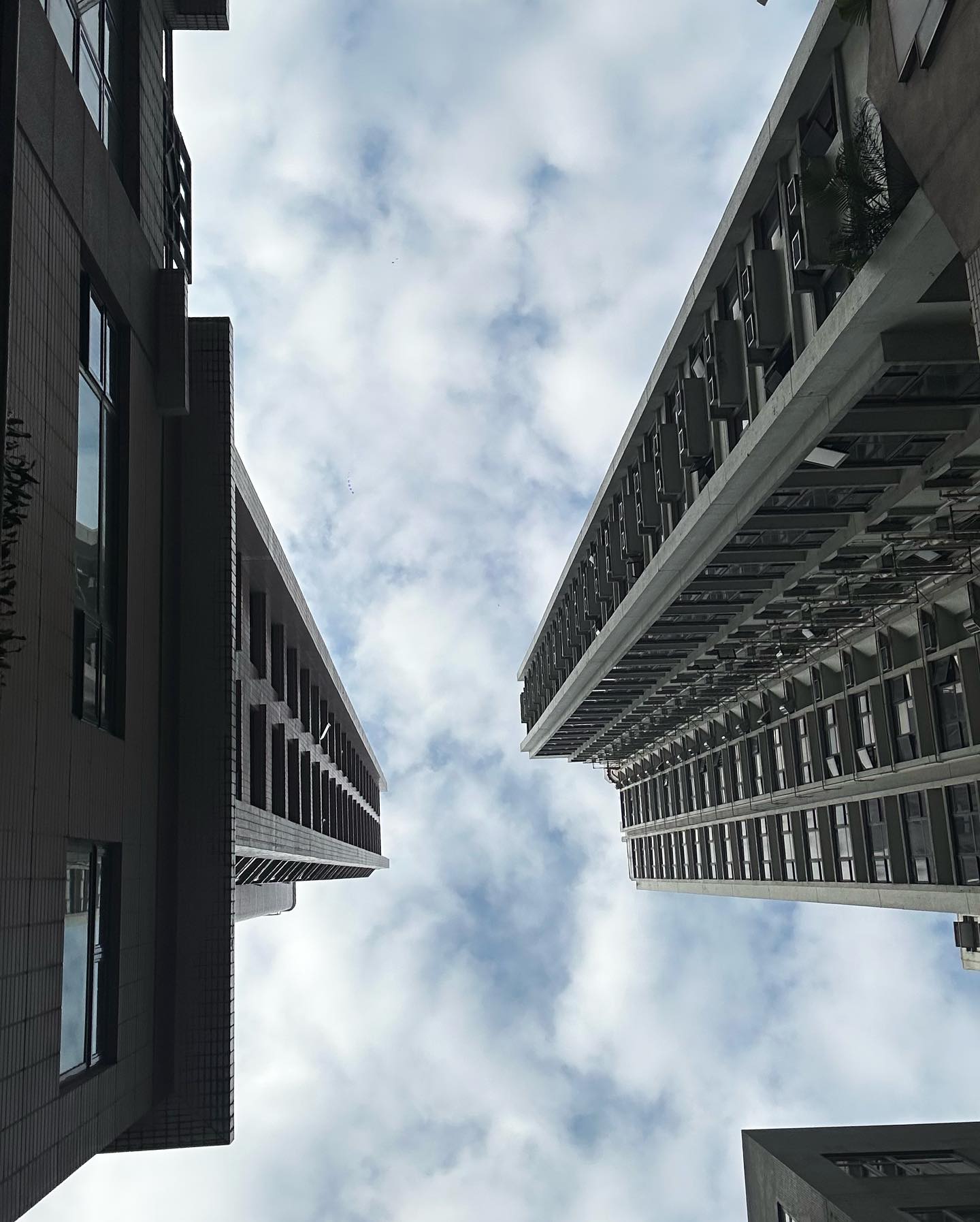 ไอซ์ - อมีนา กูล