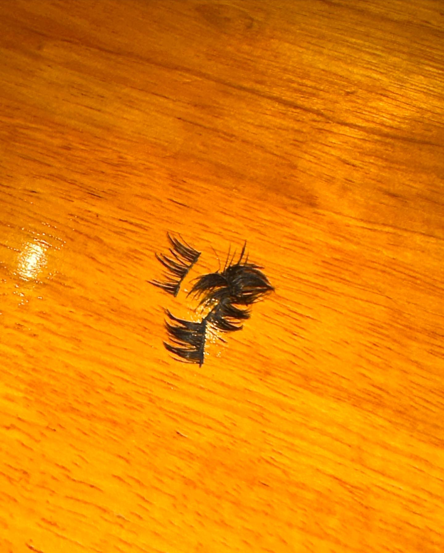 ไอซ์ - อมีนา กูล