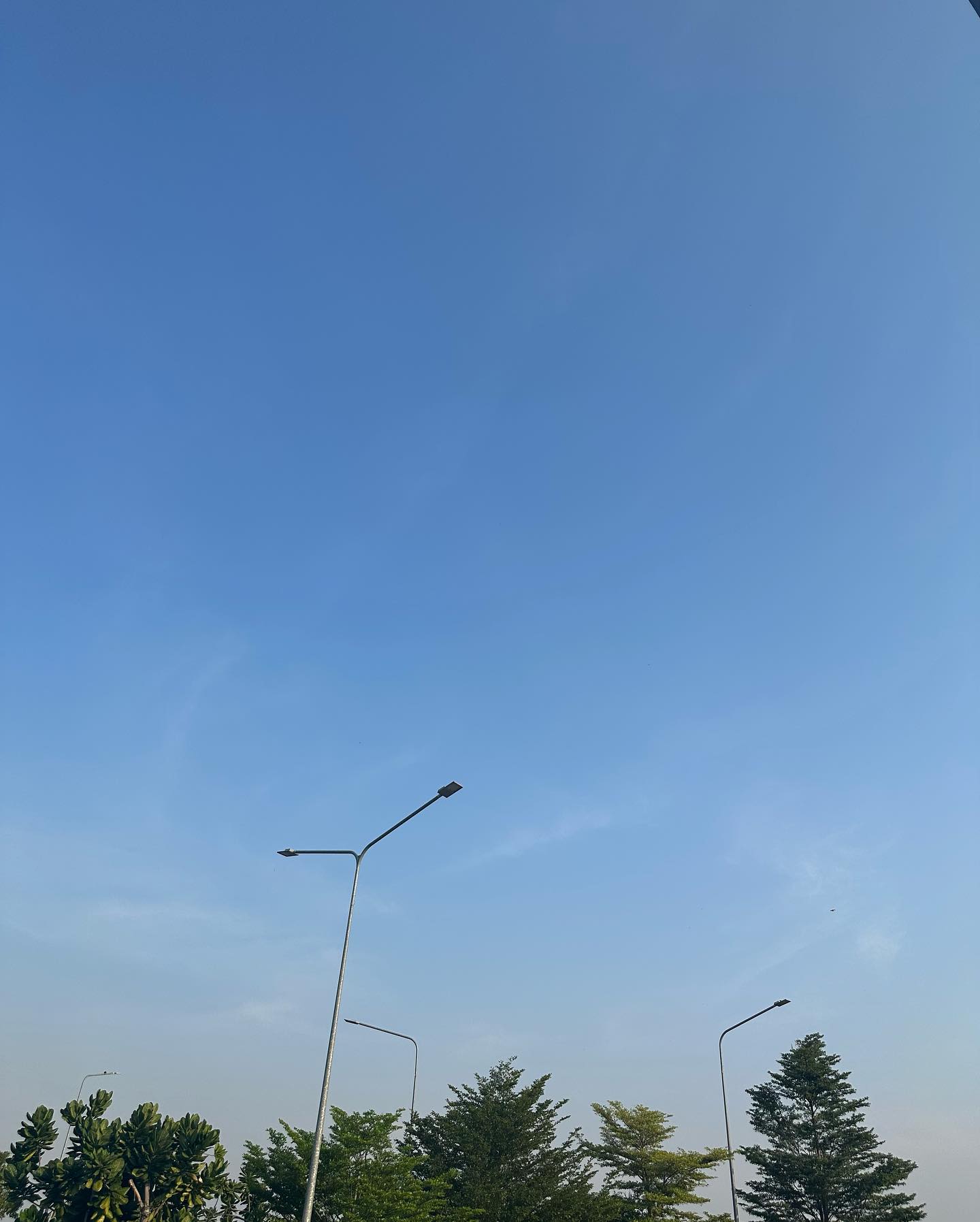 ไอซ์ - อมีนา กูล